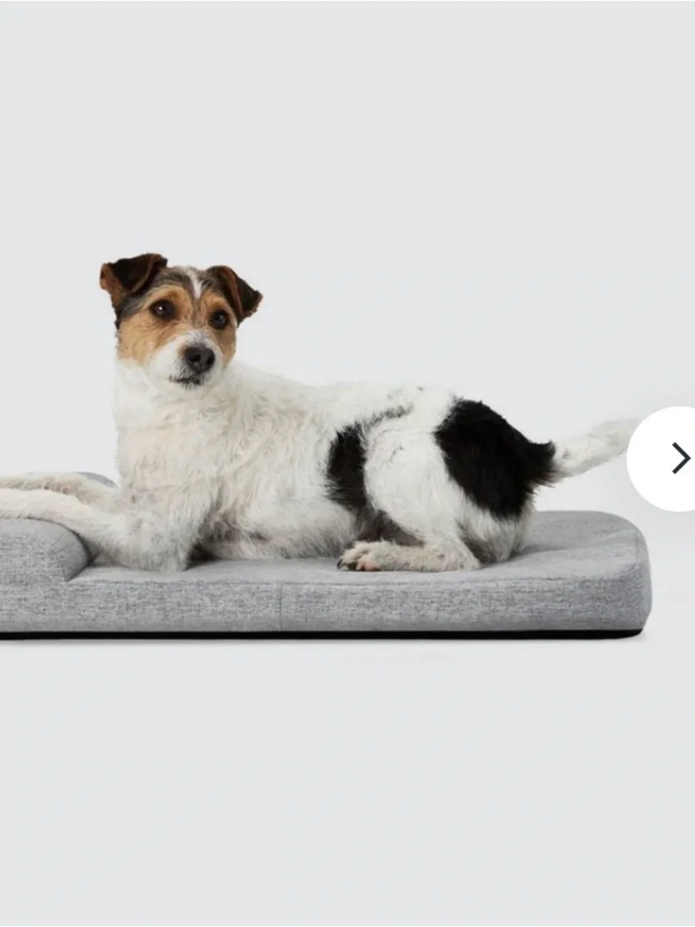 Diggs Bolstr Evolv Bed